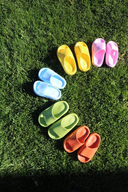 DZL slides